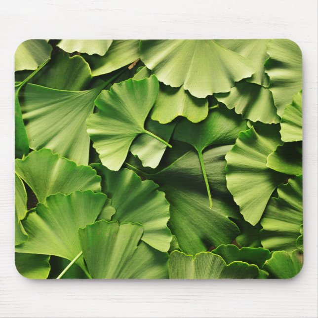 Ginkgo biloba mousepad (Vorne)
