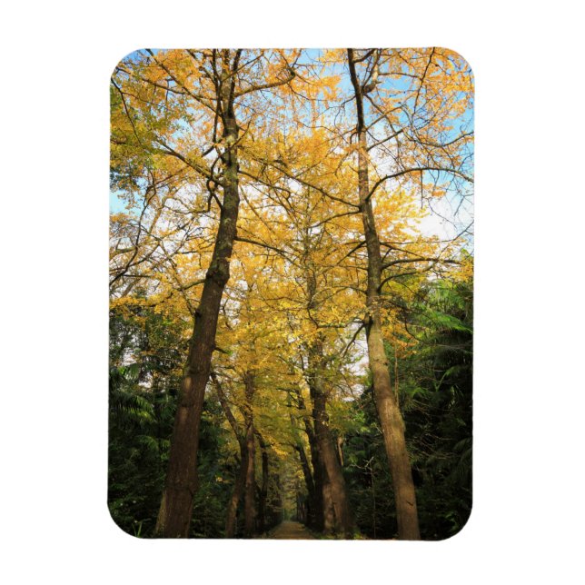 Ginkgo-Bilobäume Magnet (Vertikal)