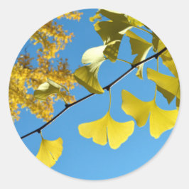 Ginkgo-Blätter im Herbst Runder Aufkleber