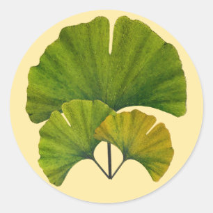 Ginkgo-Blätter Runder Aufkleber