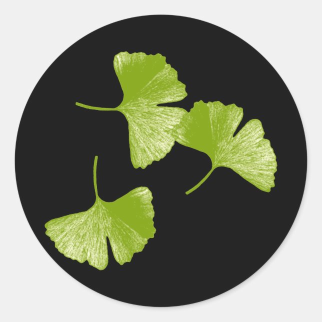 Ginkgo-Blätter Runder Aufkleber (Vorderseite)