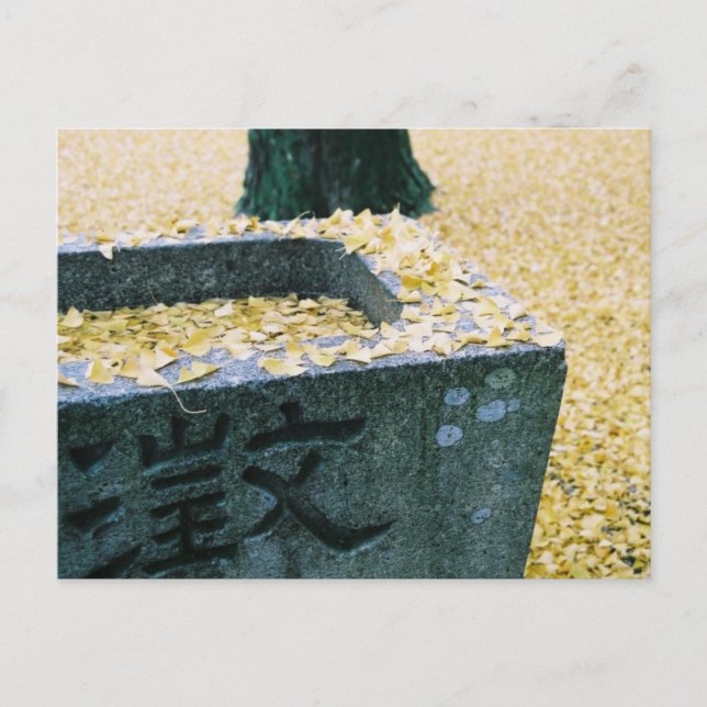 Ginkgo-Blätter: Saijo, Japan Postkarte (Vorderseite)