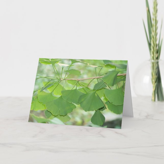 Ginkgo Karte (Vorderseite)