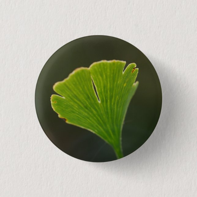 Ginkgo Leaf Abzeichen Button (Vorderseite)
