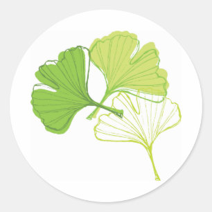 Ginkgo Leaf Runder Aufkleber