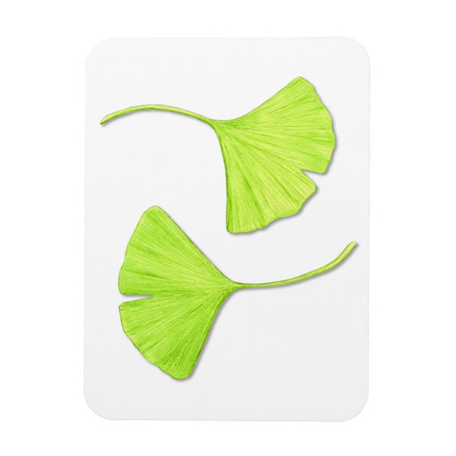Ginkgo Leaves Flexi Magnet (Vertikal)
