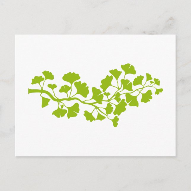 Ginkgo-Silhouette mit grünen Blätter Postkarte (Vorderseite)