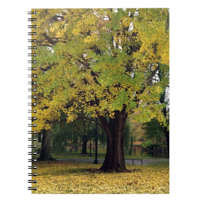 Ginkgo Tree im Fall Notizblock (Vorderseite)