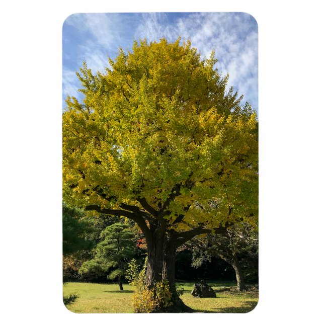 Ginkgo Tree of Golden Yellow Magnet (Vertikal)