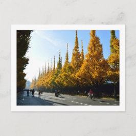 Ginkgo Trees, Icho Namiki Avenue: Tokio Postkarte