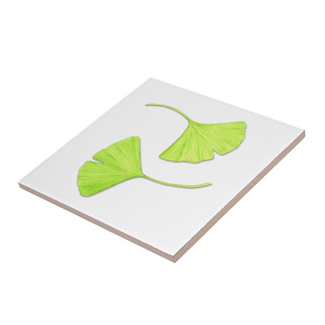 Ginkgo Verlasse Naturkunst Fliese (Seite)