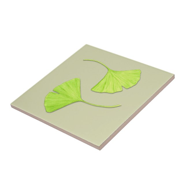Ginkgo verlässt Natur-Kunst-Fliese | Fliese (Seite)