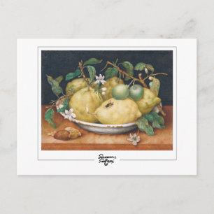 Giovanna Garzoni #4 - Carte postale Art