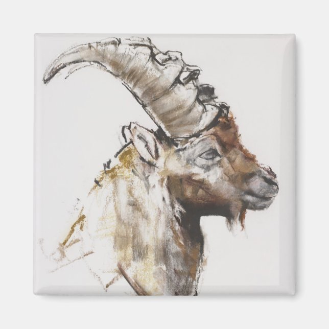 Giovanotto 2005 magnet (Vorne)