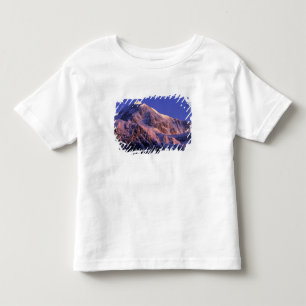 Gipfel des Denali-Gipfels Mt. McKinley) bei Kleinkind T-shirt