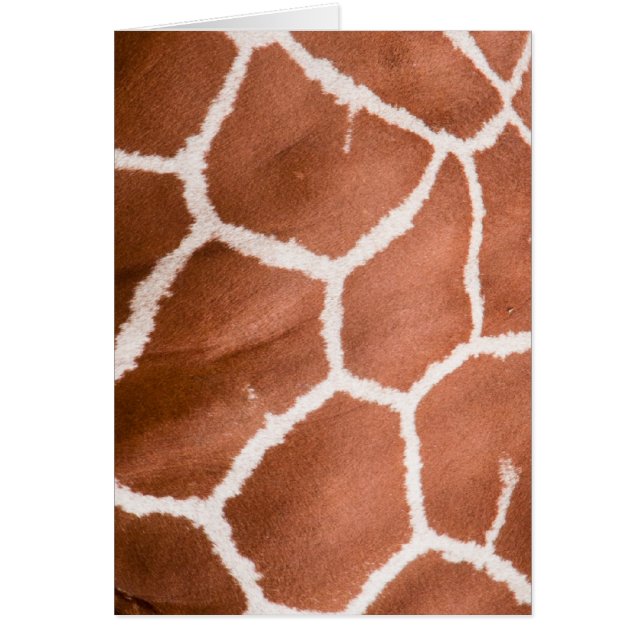 Girafe (Devant)