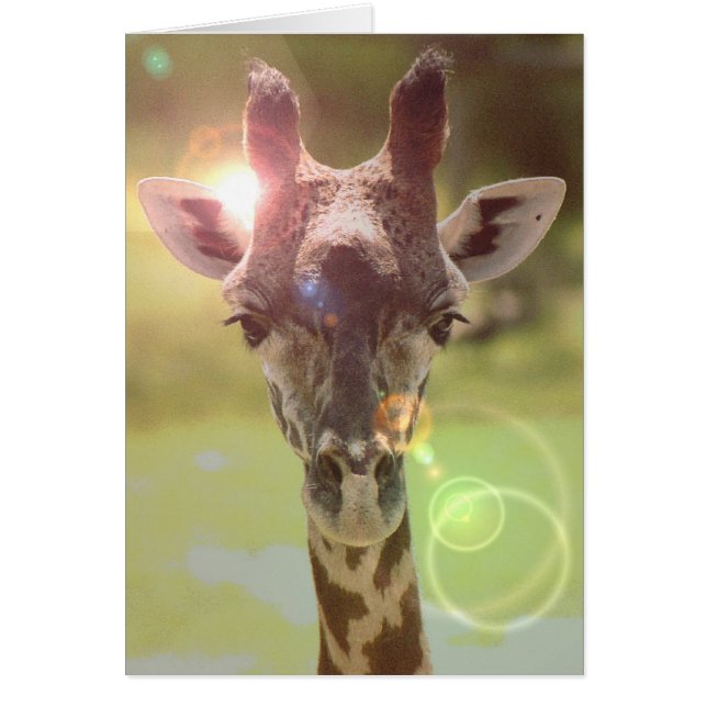 girafe (Devant)