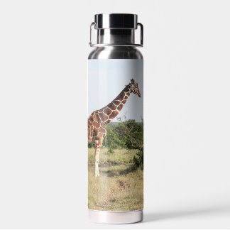 Girafes bouteille d'eau isolée de 22 oz.