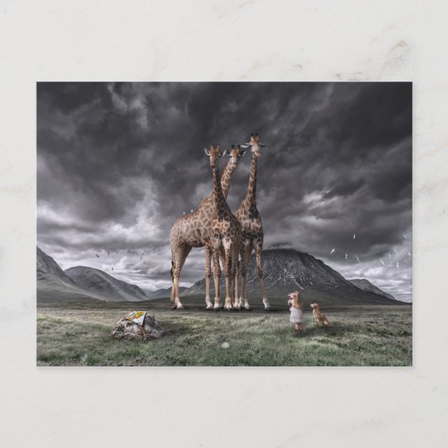 Girafes et enfant postkarte (Vorderseite)