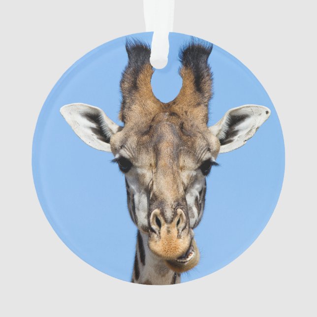 Giraffe (dos)