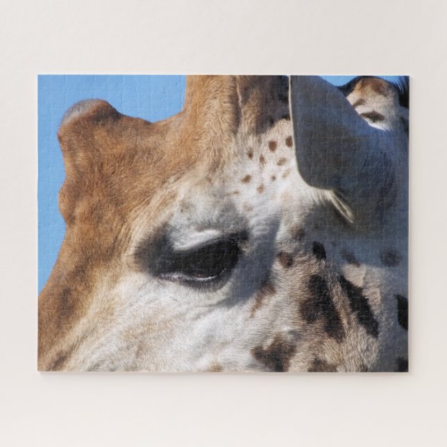 GIRAFFE  (Horizontal)