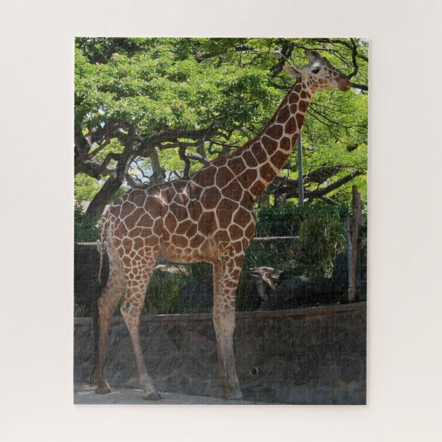 Giraffe (Vertikal)