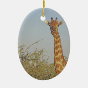 GIRAFFE 15 BOTSWANA KERAMIK ORNAMENT