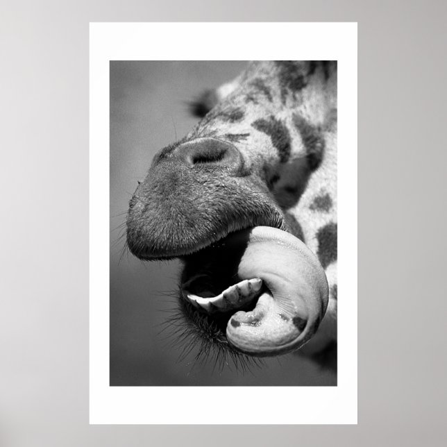 Giraffe#1 Poster (Vorne)
