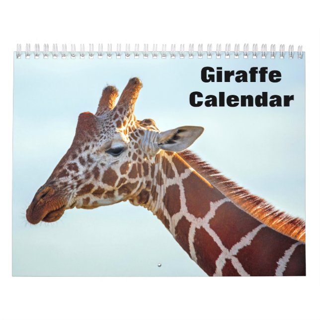 Giraffe 2026 kalender (Titelbild)