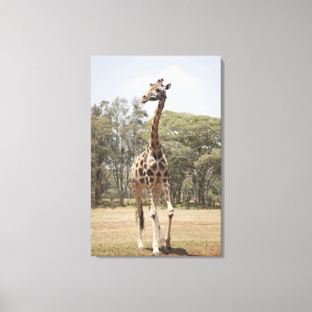 Giraffe 3 leinwanddruck (Vorderseite)
