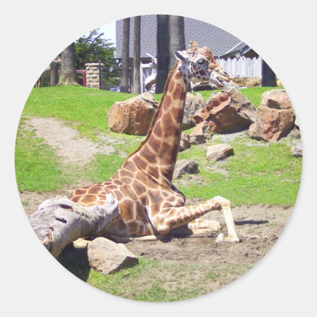 Giraffe #3 Stickers (Vorderseite)