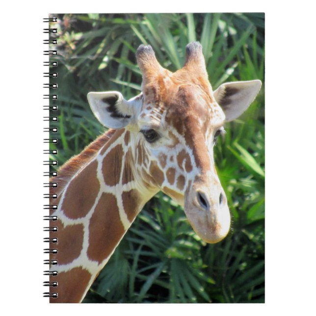 Giraffe - 6.5 x 8.75 Notebook Notizblock (Vorderseite)