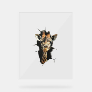 Giraffe _7 acrylschild