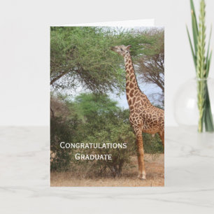 Giraffe-Abschluss-Karte Karte