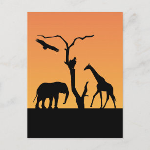 Giraffe afrikanische Silhouette-Sonnenuntergang-Po Postkarte