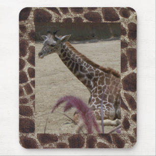 Giraffe an der Erholung Mousepad