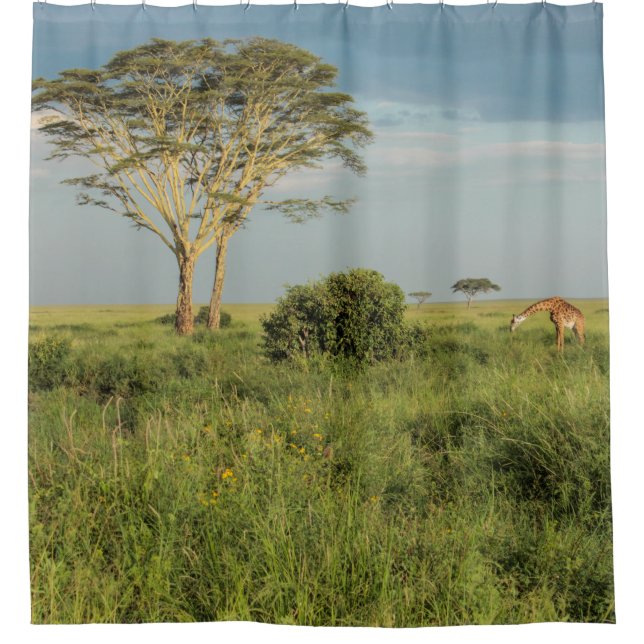 Giraffe auf dem Serengeti Duschvorhang (Vorderseite)