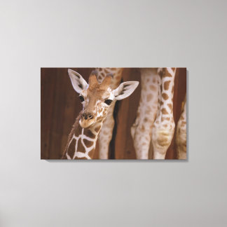 Giraffe auf Leinwand