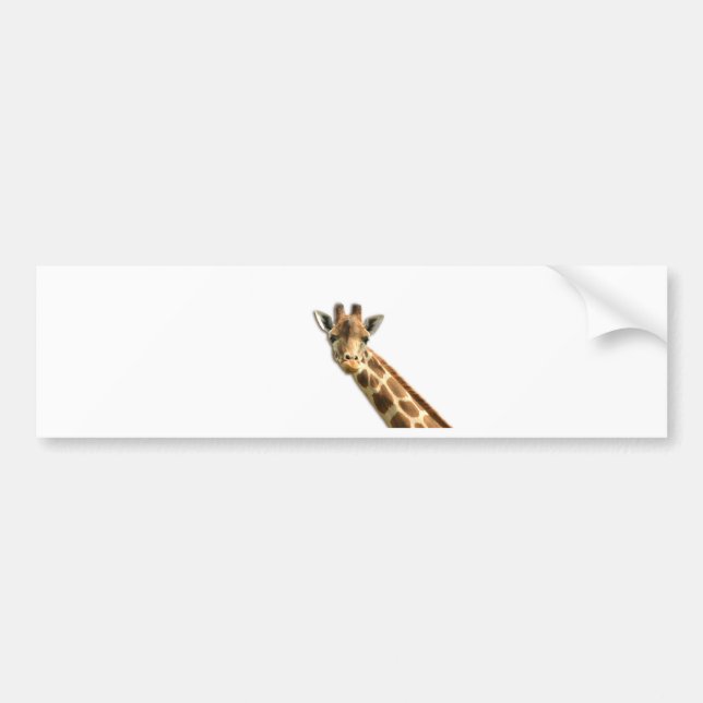 Giraffe Autoaufkleber (Vorne)