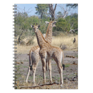 Giraffe Babys Spiralnotizbuch/Zeitschrift Notizblock