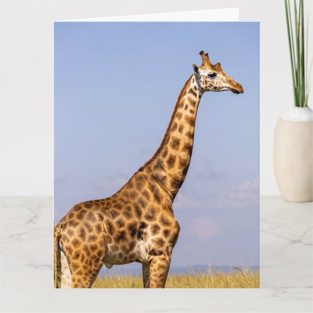 GIRAFFE BIRTHDAY GREETING CARD DANKESKARTE (Vorderseite)