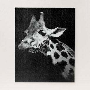 giraffe black and whit
