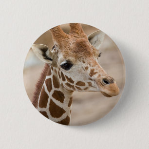 Giraffe Button