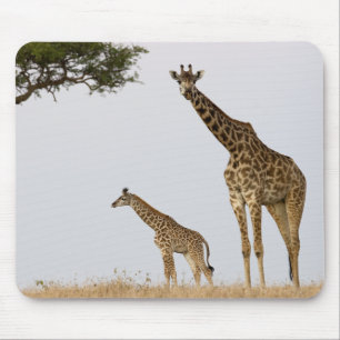Giraffe Calf and Mama Mousepad