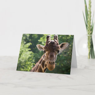 Giraffe ・ Carte de voeux
