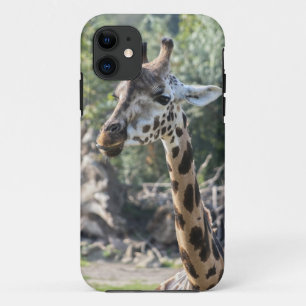 Giraffe Case-Mate iPhone Hülle