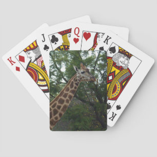 Giraffe, die durch Parkland spaziert, Spielkarten