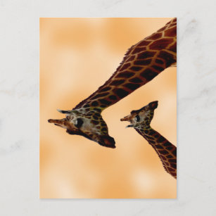 Giraffe doppelte Schwierigkeit, Postkarte