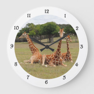 Giraffe drei am versteinerten Kante-Wand-Geklapper Große Wanduhr