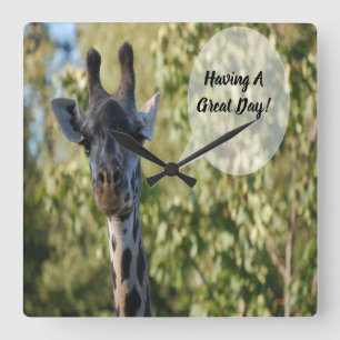 Giraffe-Dusche Quadratische Wanduhr